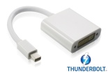 - Apple mini DisplayPort 20M > DVI 24+5F